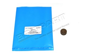 ZASLEPKA MOCOWANIA TARCZY HAMULCOWEJ - D SOD000010G