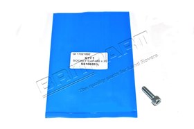 SOCKET CAP M6 X 20 SS106201LG
