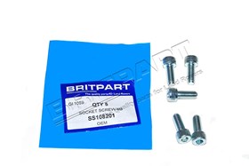 SOCKET SCREW M8 SS108201G