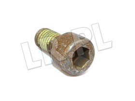 SRUBA NAPINACZA ROZRZADU 300 TDI NOWY TY SS110201EG