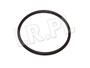 ORING OBUDOWY TERMOSTATU RR P38 DIESEL STC2194