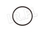 ORING OBUDOWY TERMOSTATU RR P38 DIESEL STC2194