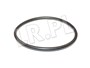 ORING OBUDOWY TERMOSTATU RR P38 DIESEL STC2194