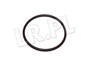 ORING OBUDOWY TERMOSTATU RR P38 DIESEL STC2194GEN