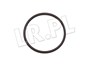 ORING OBUDOWY TERMOSTATU RR P38 DIESEL STC2194GEN