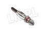 SWIECA ZAROWA - RR P38 STC3103DELPHI