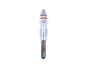 SWIECA ZAROWA - RR P38 STC3103DELPHI