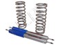 ZESTAW ZAWIESZENIA TERRAFIRMA - RRC / DI TF210