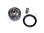 ZESTAW NAPRAWCZY WALU PRZOD DISCOVERY II TVB000110S1