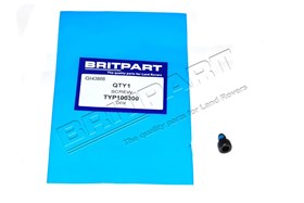 SCREW TYP100300G