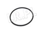 ORING POLOSI RR L322 PRZOD DO 2006 TYX000060GEN