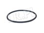 ORING POLOSI RR L322 PRZOD DO 2006 TYX000060GEN