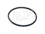 ORING MECHANIZMU ROZNICOWEGO PRZOD RR L3 TYX000070GEN