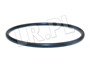 ORING MECHANIZMU ROZNICOWEGO PRZOD RR L3 TYX000070GEN
