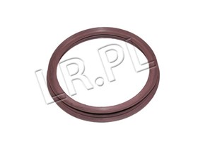USZCZELKA POMPY PALIWA W ZBIORNIKU PLAST WGQ500020G