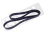 PASEK KLINOWY SILNIKA JAGUAR V8 S-T DO 2 XR830447DAYCO