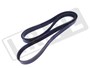 PASEK KLINOWY SILNIKA JAGUAR V8 S-T DO 2 XR830447DAYCO