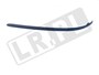 LISTWA OZDOBNA ZDERZAKA PRZEDNIEGO XR844070XXXGEN