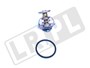 TERMOSTAT V6 S-T/X350 XR85174