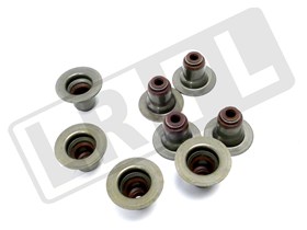 USZCZELNIACZ ZAWOROWY V6 XR85231EUROSPARE