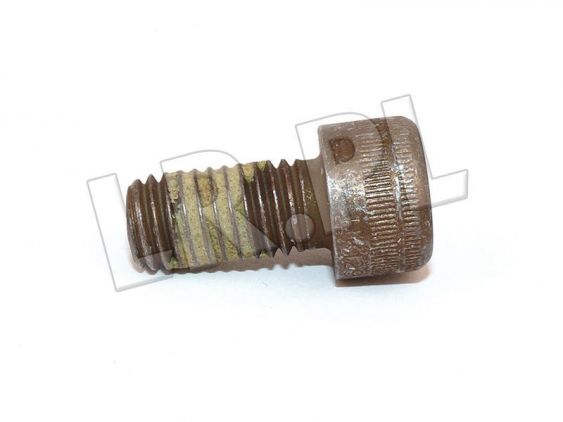 Śruba M10 x 20 mm napinacza rozrządu 300 TDI nowy typ Defender - SS110201EG