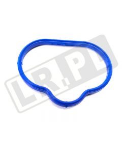 Uszczelka Kolektora Ssącego Jaguar S-Type 4,0 V8 Do (vin:m45254)