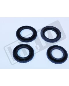 Zestaw serwisowy do zacisków hamulcowych Jaguar S Type - C2C24011GEN