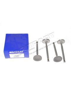 Zawór ssący głowicy cylindra RRC / Discovery 1 V8 - ERC9088