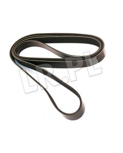 Pasek główny płaski Discovery II V8 bez klimatyzacji, z Active Roll - ERR6897DAYCO