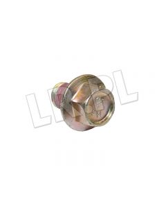 Śruba koła zamachowego Defender / Discovery 1, 2 / RRC / RR P38 (automatyczna skrzynia biegów) - FS110141MG