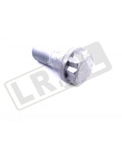 Śruba jarzma zacisku hamulcowego Discovery 2 / RR P38 - FTC2996G