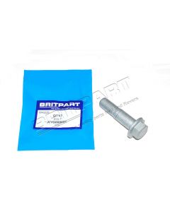 Śruba M16 zwrotnicy RR L322 / RR 10 - 12 - KYG000031G