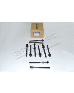 Komplet śrub głowicy TD4 Freelander (10 szt.) - LDN100470L