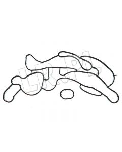 Uszczelka chłodnicy oleju silnika RR L322 / RR Sport / RR od 2010 / RR Sport od 2010 3,6 V8 diesel - LR002340GEN