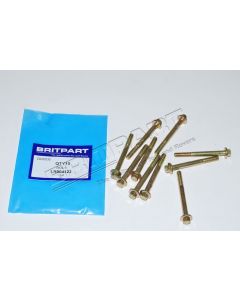 Śruba M6 x 60 mm recyrkulacji spalin RR L322 / Discovery 3 , 4 / RR Sport 05 – 13 / RR 2010 – 2012 - LR004123G