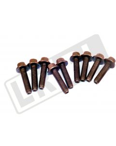 Śruba M8 x 16 prowadnicy łańcucha rozrządu Defener od 2007 - LR004338GEN