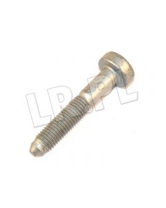 Śruba M14 wahacza tył poprzeczny (przedni) Freelander 2/RR Evoque - LR004591GEN
