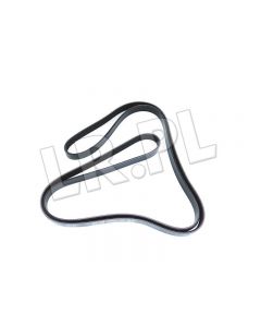 Pasek główny płaski RR Sport od 2010 5,0 V8 (primary) - LR012625DAYCO