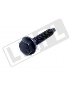 Śruba M6 x 1.0 x 30 mm napęd rozrządu Freelander 2 / RR evoque od 2012 / RR L405 / RR Sport od 2014 / Discovery Sport od 2015  - LR025008GEN