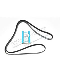 Pasek główny płaski Discovery 4 / RR 10 – 12 / RR Sport 10 – 13 5,0 V8 (primary) - LR064185DAYCO