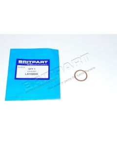 Oring napinacza łańcucha rozrządu TD5 - LXI100000