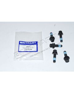 Śruba kolektora ssącego Discovery 2 / RR P38 V8 - LYG101440G