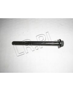 Śruba wałka pompo-wtryskiwaczy TD5 Defender 99 -06 / Discovery 2 - LYG101510G