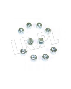 Nakrętka obudowy mechanizmu różnicowego mostu Defender / Discovery / RR / RR P38 - NY606041LG