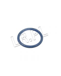 Oring wiązki pompowtryskiwaczy TD5 - NYX100080