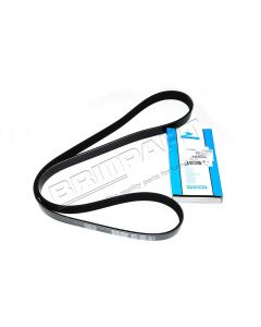 Pasek główny płaski Freelander V6 benzyna bez klimatyzacji - PQS101262LDAYCO