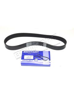 Pasek główny płaski Discovery 3 4,4 V8 / RR L322 / RR Sport 4,4 V8 (secondary) - PQS500221