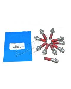 Śruba wałka kierowniczego Discovery II od 2004 - QYG500100