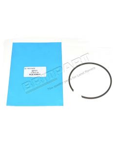 Seger zabezpieczający łożysko piasty przód/tył Freelander - RUE100031G