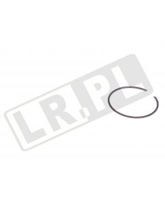 Seger zabezpieczający łożysko piasty przód/tył Freelander - RUE100031GEN